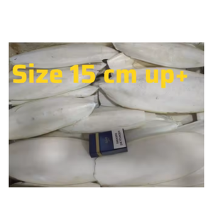 ปลาหมึกธรรมชาติสำหรับนกแก้วนกและสัตว์เลื้อยคลานแหล่งแคลเซียม - Product Image 5