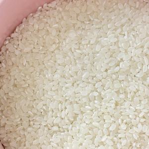 ImporTEXPORT Direct Factory Wholesale Japonica Sushi Rice Textura suave y húmedo Delicioso para minoristas Mejor precio garantizado - Product Image 5