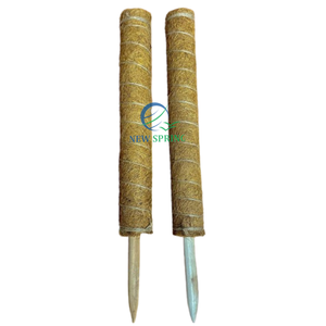 Poste de musgo natural de alta calidad de Vietnam: soporte ideal para plantas de interior | Exportación a granel y OEM - Product Image 2