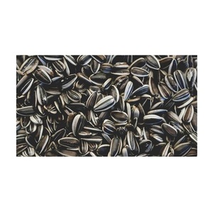 Spécifications des graines de tournesol, graines de tournesol de grande taille, graines de tournesol non décortiquées - Product Image 1