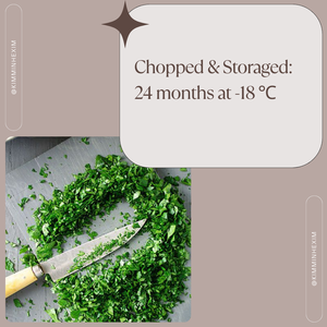 BQF Feuilles de jute congelées hachées et prêtes pour l'exportation depuis le motif de bloc frais du Vietnam - Product Image 3