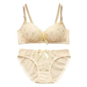 Bikini maillot de bain confortable mince brassière broderie soutiens-gorge ensemble de sous-vêtements Sexy tasse grande taille soutien-gorge ensemble femmes Lingerie dentelle - Product Image 4