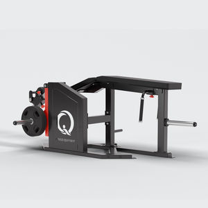 QLI QPLC078, equipo de Fitness de gimnasio de doble función, máquina de entrenamiento de fuerza cargada con placa de rizo de pierna propensa de Metal duradero para Vietnam - Product Image 2