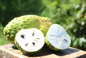 Hot Deal: Soursop congelé biologique-Le meilleur du Vietnam pour l'exportation en vrac - Product Image 2