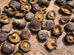 Champignons Shiitake séchés biologiques du Vietnam Savoureux et délicieux Meilleur prix - Product Image 3