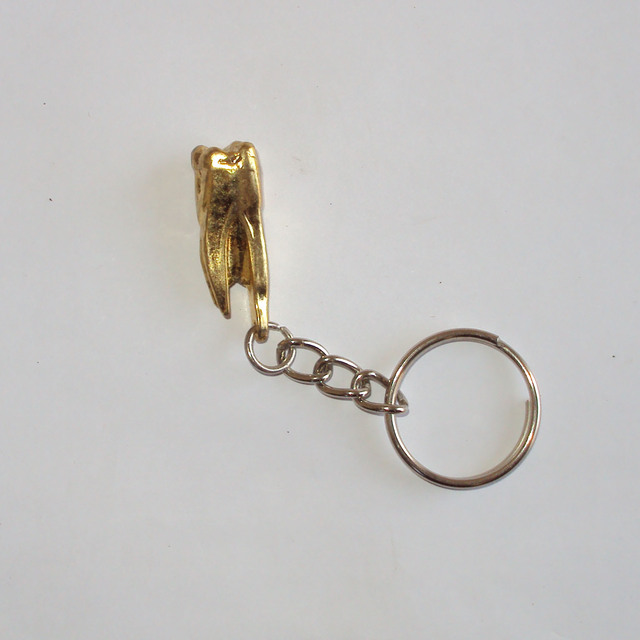 Custom Stainless Steel LED Lightweight Dental Keychain Gift for Dentist Staff Assistant Graduation Souvenir Tooth Shaped