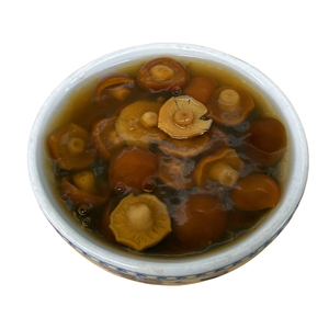 Mélange de pois chiches et de légumes de jardin en conserve nutritif, préparé pour une cuisson instantanée, accompagnements savoureux, protéines végétales nécessaires - Product Image 4