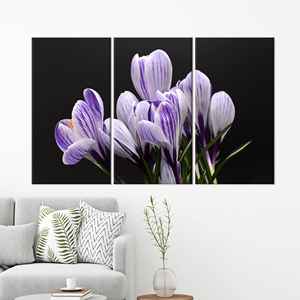 Printed Crocus <b>Canvas</b> Decor: Elegant <b>Large</b> <b>Wall</b> Art Poster,3P:Gallery Wrapped - Product Image 1