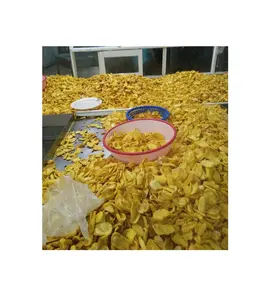 도매 250 그램 동결건조 jackfruit/바삭한 jackfruit 말린 간식/달콤한 말린 jackfruit 야채 과일