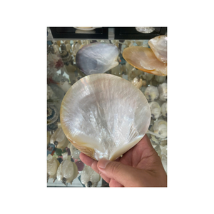 Cuillère à caviar en nacre fabriquée à la main Cuillère à coquille élégante avec finition lisse Matériau non réactif préservant le goût délicat - Product Image 4