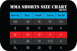 Vente en gros de shorts d'entraînement de MMA et de boxe écologiques Équipement de combat imprimé à motif solide Conception de grappling BJJ personnalisée OEM sportif - Product Image 5