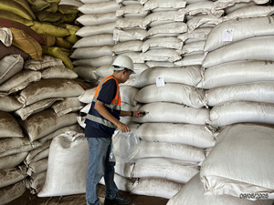 หัวหมุดพริกไทยดำแบบเข็มขนาด2.5มม. จากกระบวนการอบแห้งของเวียดนาม - Product Image 3