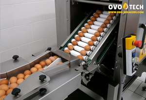 Rompehuevos Motorizado de Acero OVO-TECH RX-2 con Caja de Cambios para Hostelería Comercial, Capacidad de 13000 Huevos/Hora, 415 KG - Product Image 4