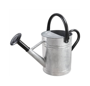 Maceta de riego de metal antiguo, regadera de jardín, pieza de diseño desgastado con venta de productos - Product Image 1