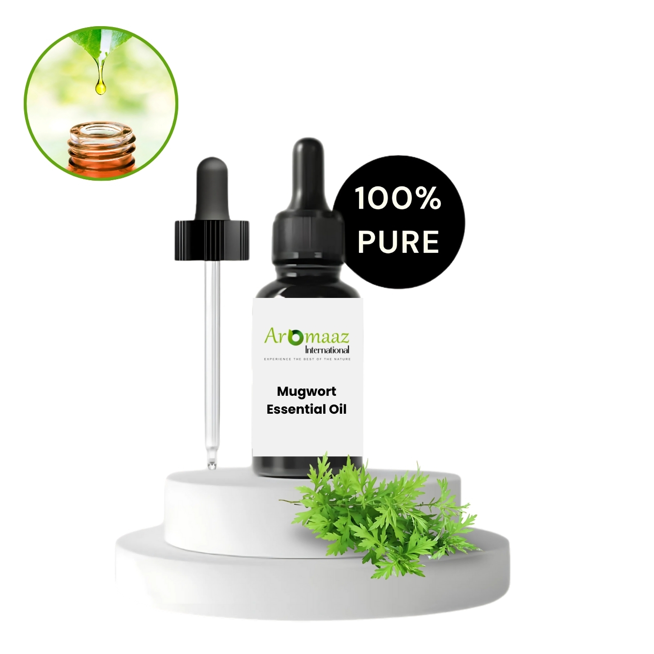 Amarillo pálido en color