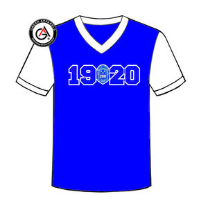 Zeta Phi Beta Soror Ropa de mujer de alta calidad Camisas de mujer al por mayor Manga corta Moda Unisex Cuello en V Camisetas de mujer - Product Image 5