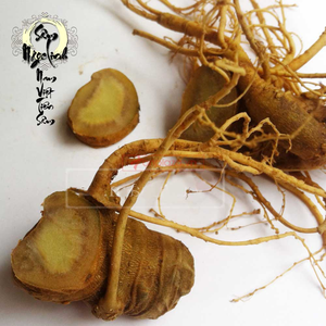 Rễ nhân sâm Linh Linh/thuốc tiên cao cấp của thiên nhiên/sản xuất tại Việt Nam - Product Image 2