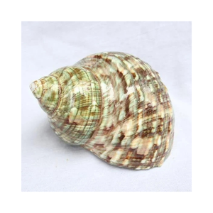 Meilleure solution pour les performances: Turbo Burgess du Vietnam fiable et durable - Product Image 1