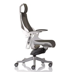เก้าอี้สำนักงานระดับไฮเอนด์ Ergonomic Wonder II-01 ดีไซน์ร่วมสมัย พร้อมวัสดุโลหะโครเมียมและตาข่าย รุ่น HOGVP127 - Product Image 3