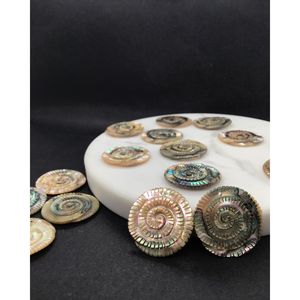 Perles d'ormeau fossile sculptées pour la fabrication de bijoux - Product Image 2