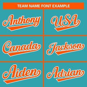 Sweat-shirts à capuche entièrement zippés en molleton 100 % coton, personnalisés OEM, avec broderie du nom de l'équipe, anti-rétrécissement, respirants, en tissu tricoté imprimé - Product Image 5