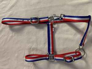 Halter de caballo de cincha de nailon duradero con relleno polar y cojín de esponja Tachuela ecuestre cómoda de alta calidad al por mayor - Product Image 4