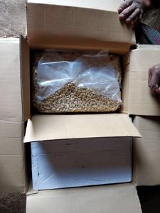 Anacardo tostado con sal superventas listo para exportar en grandes cantidades - Product Image 6