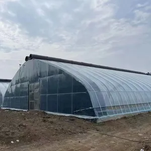 China passive solar greenhouse low price waterproof warm quilt to prevent cold winter solar greenhouse