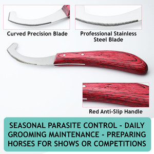 Recién llegado, cuchillo Bot de precisión para quitar huevos de mosca Bot para melena y aseo de piernas, mango ergonómico, duradero, resistente al óxido - Product Image 6