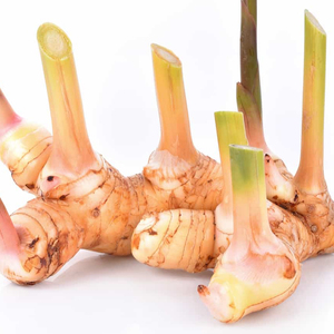 Arroz de jengibre fresco, Heap Ginger - Product Image 1