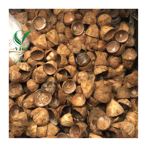 Coquille crue de noix de coco naturelle du Vietnam pour la fabrication industrielle de charbon de bois et l'approvisionnement en carburant de biomasse - Product Image 6