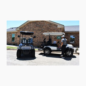 Carrito de Golf Eléctrico de Lujo de Litio de Alta Calidad para 5-6 Personas, Color Natural, Origen Austria, Certificado CE - Product Image 6