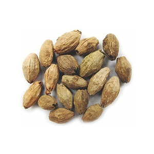 เมล็ดสะเดาสำหรับอุตสาหกรรมส่งออกและแปรรูปจำหน่ายในปริมาณมาก - Product Image 2