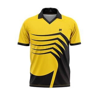 Conjunto de pantalón y camisa de cricket transpirable de entrenamiento profesional nuevo uniforme de Jersey de cricket personalizado - Product Image 5