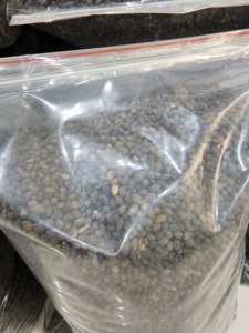 Hierba para beber: semillas de papaya secas, papaya Red Lady, venta al por mayor, producto agrícola, proveedor, fabricante de Vietnam. - Product Image 5