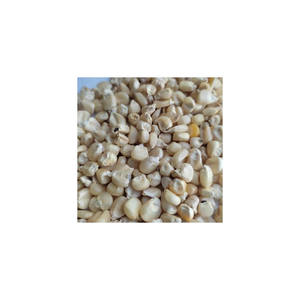 Maíz blanco no OGM (maíz blanco), proveedores de maíz blanco, exportadores encendido Global Sources - Product Image 1