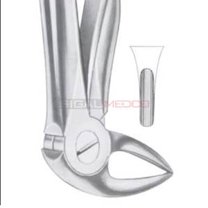 Fig. 33B Raíces inferiores Fórceps de extracción de dientes de diferentes tamaños Instrumentos médicos dentales Precio al por mayor Proveedor a granel - Product Image 3