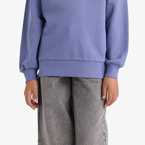 Sweat-shirt en tissu polaire doux en coton chaud et léger Vêtements décontractés Impression/broderie de logo personnalisé Manches longues Design 2026 - Product Image 6