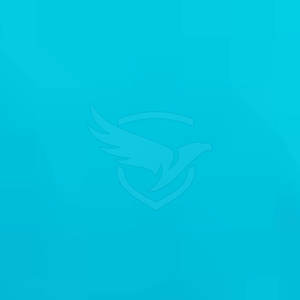 Precio al por mayor MMA Rash Guard Spandex Poliéster MMA Rash Guard Mejor llegada MMA Rash Guard - Product Image 6