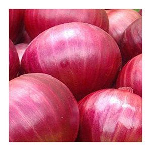 Cebollas Rojas frescas al por mayor, Tamaño 7-9cm, cebollas de piel roja púrpura, suministro a granel, precio de fábrica, la mejor oferta al por mayor para compradores globales - Product Image 6