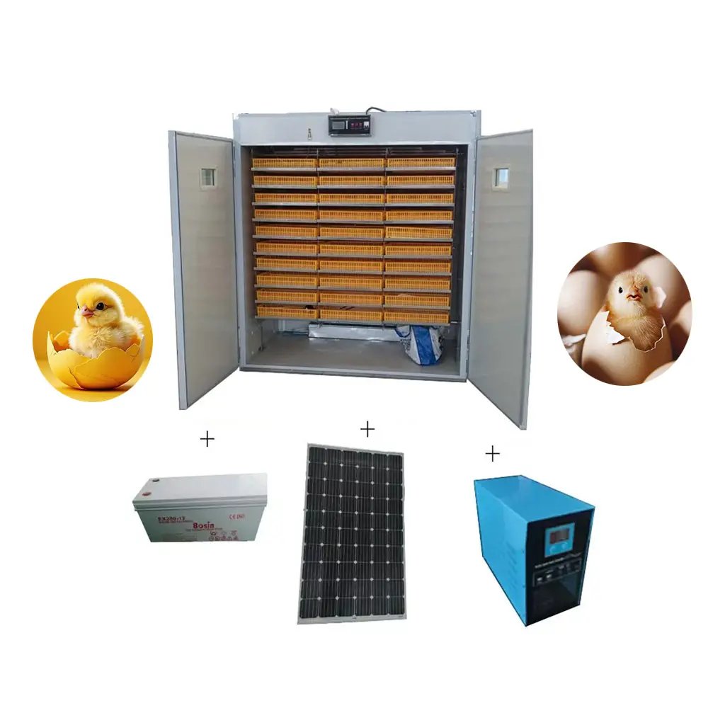 Incubadora de huevos de 5000 con energía Solar para granja, incubadora automática para incubar huevos de codorniz