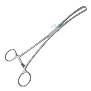 Pinces Teale durables, instruments chirurgicaux en acier inoxydable, équipement médical et dentaire, outils professionnels, pinces Teale - Product Image 2