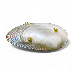 Assiette de luxe en nacre pour la décoration de table et la restauration, provenant du Vietnam - Product Image 4