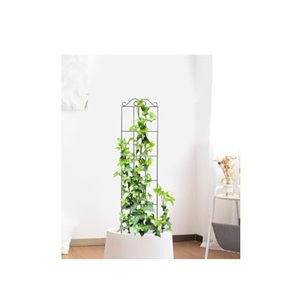 Treillis de jardin en métal pour les vignes de légumes Haricots de concombre et arrangements de jardin verticaux floraux magnifiquement - Product Image 2