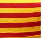 ธงสโมสรโพลีเอสเตอร์ธงกีฬากลางแจ้งธงขายดีพร้อมการออกแบบและสีที่กำหนดเองสำหรับธงสโมสร - Product Image 2