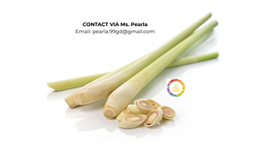 Tallo cortado de limoncillo congelado de Vietnam para exportación y procesamiento de alimentos Limoncillo limpio y fresco para cocinar té y remedio natural - Product Image 3