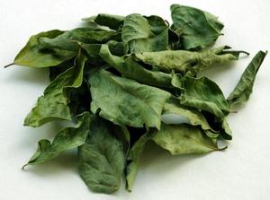 Alta calidad Murraya Koenigii Curry seco procesamiento crudo precio al por mayor utilizado para tratar la inflamación de pilas - Product Image 2