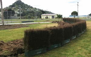 Bolsa de cultivo de plantas HDPE, bolsa de Seto, protección UV duradera, macetas de jardín, venta al por mayor - Product Image 3