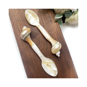 Cuchara de Concha Natural Estilo Orgánico para Servir Café y Té - Product Image 3