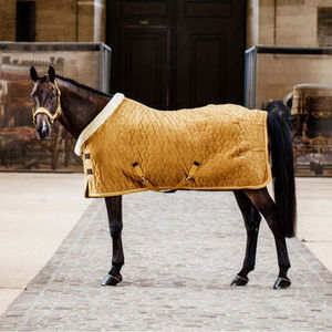 <b>Waterproof</b> Turnout Horse Rug Brown Turquoise Trim Oxford Fabric All Seasons Outdoor Use 2 Leg Straps Standard Neck Large Tail - Product Image 6